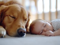 Celos y bebés: consejos para evitar que tu mascota lo pase mal