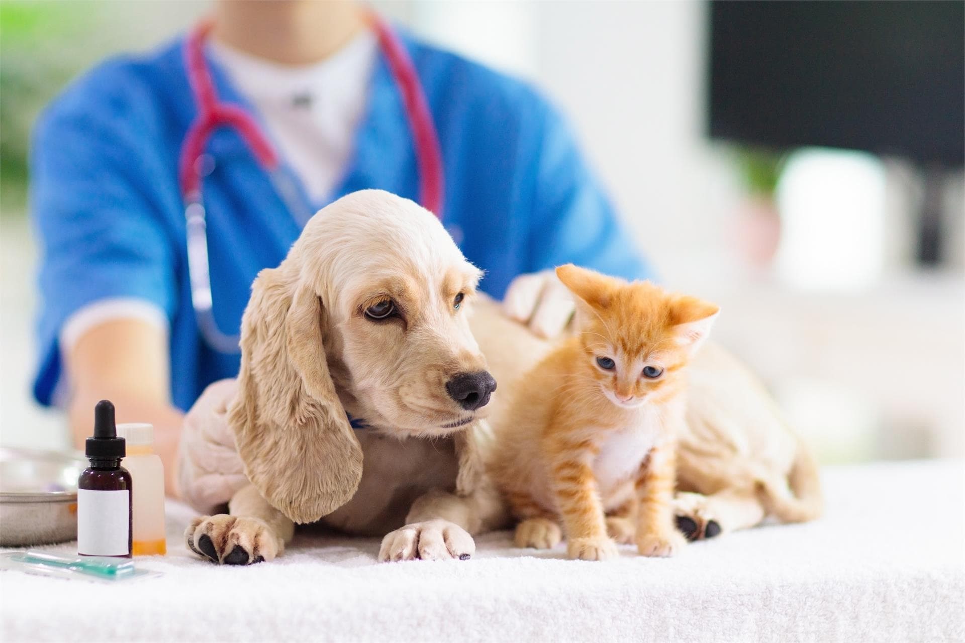 Expertos en diferentes especialidades médicas