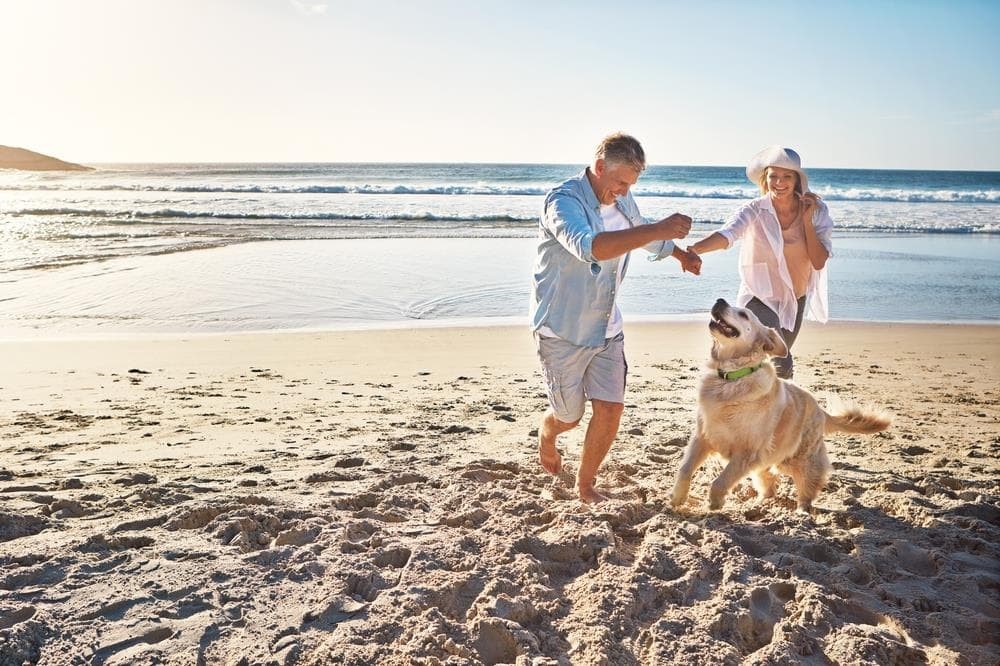 Playas para perros en Galicia: ¿A cuáles puedes llevar a tu perro?