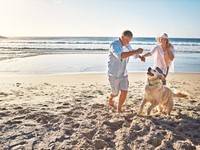 Playas para perros en Galicia: ¿A cuáles puedes llevar a tu perro?